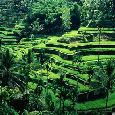 九游会集团截图